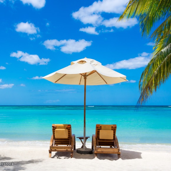 Meet your Posher, Thomas - Picture 1 of 1